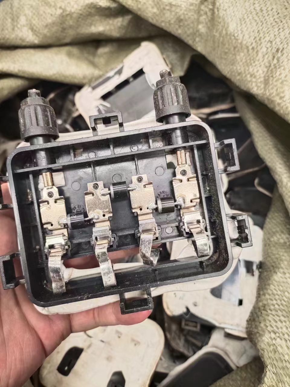 pg电子_首页官网入口