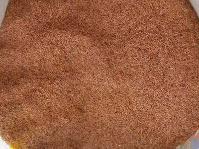 pg电子_首页官网入口